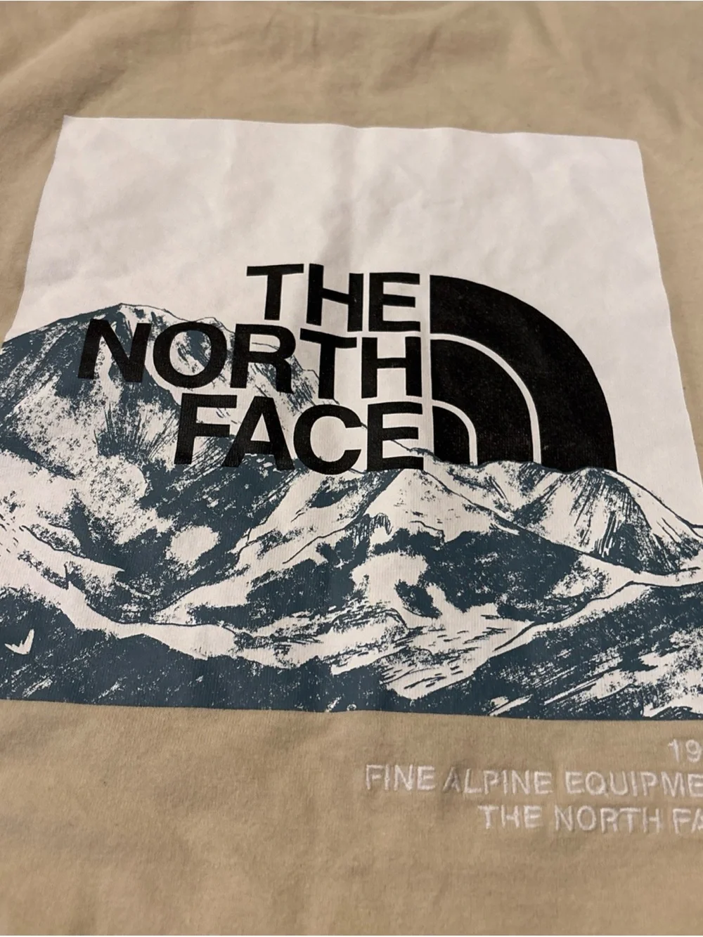 The North Face north face